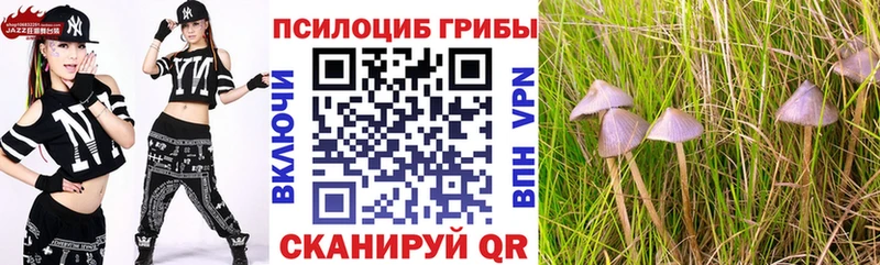 Псилоцибиновые грибы мухоморы  дарнет шоп  Красный Холм 